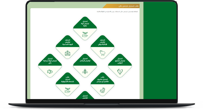 صورة الشريحة